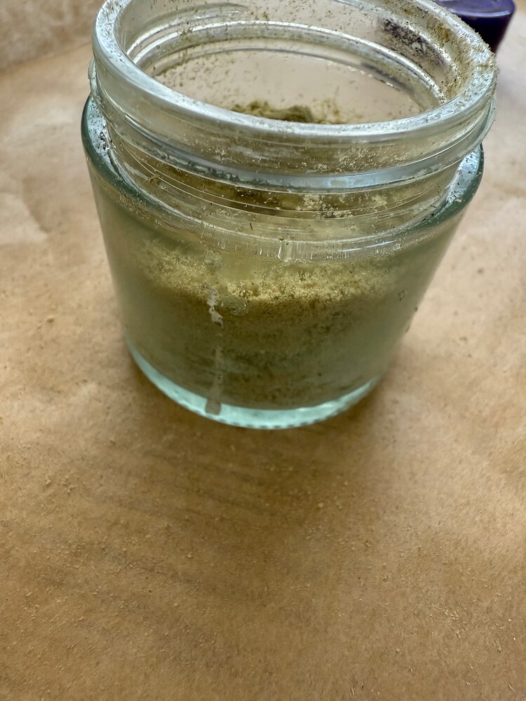 Hawaiian Snow vs. Purple Mimosa GanjaFramer seeds Test Nr. 2