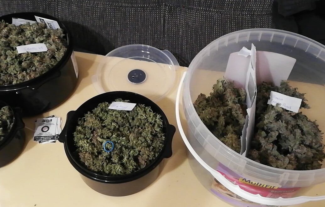 Schrankgrow mit DWC bzw Aeroponic