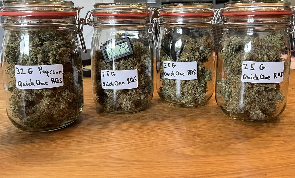 Erster Grow, 80x80x180 2xFastBud, 2xEasyBud **ABGESCHLOSSEN**