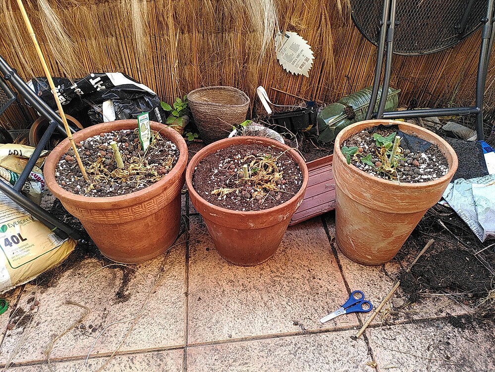 Anfänger mit 3 Autos auf dem Balkon