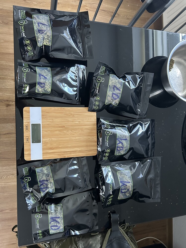 1. Grow 80x80 2x F1 Orion RQS